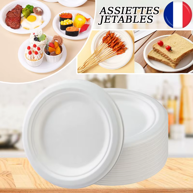 Assiettes de poulet en papier nickel able écologique