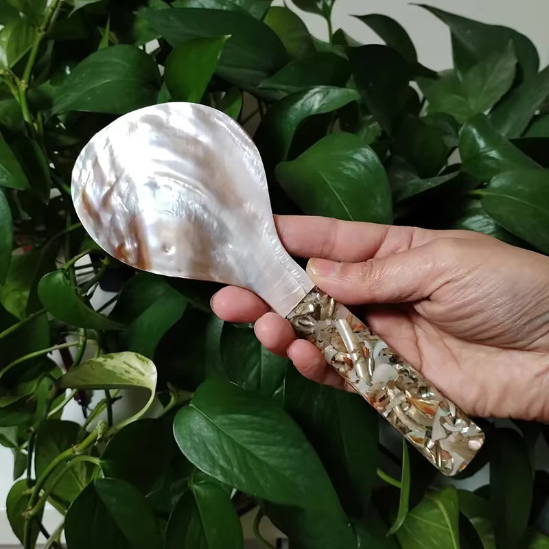 Cuillère à riz en nacre