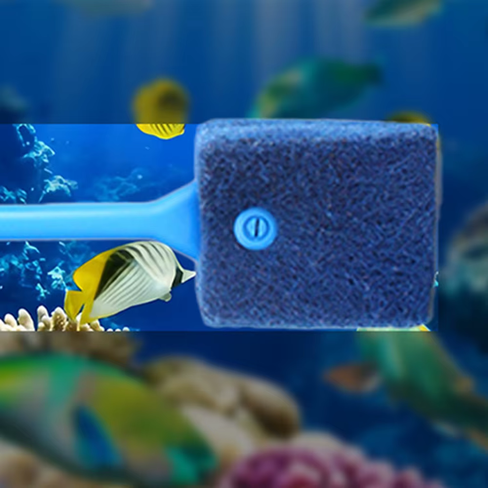 Brosses de nettoyage d'aquarium pour verre acrylique, nettoyage des algues, grattoir à algues Double face, éponge, outils de nettoyage d'aquarium