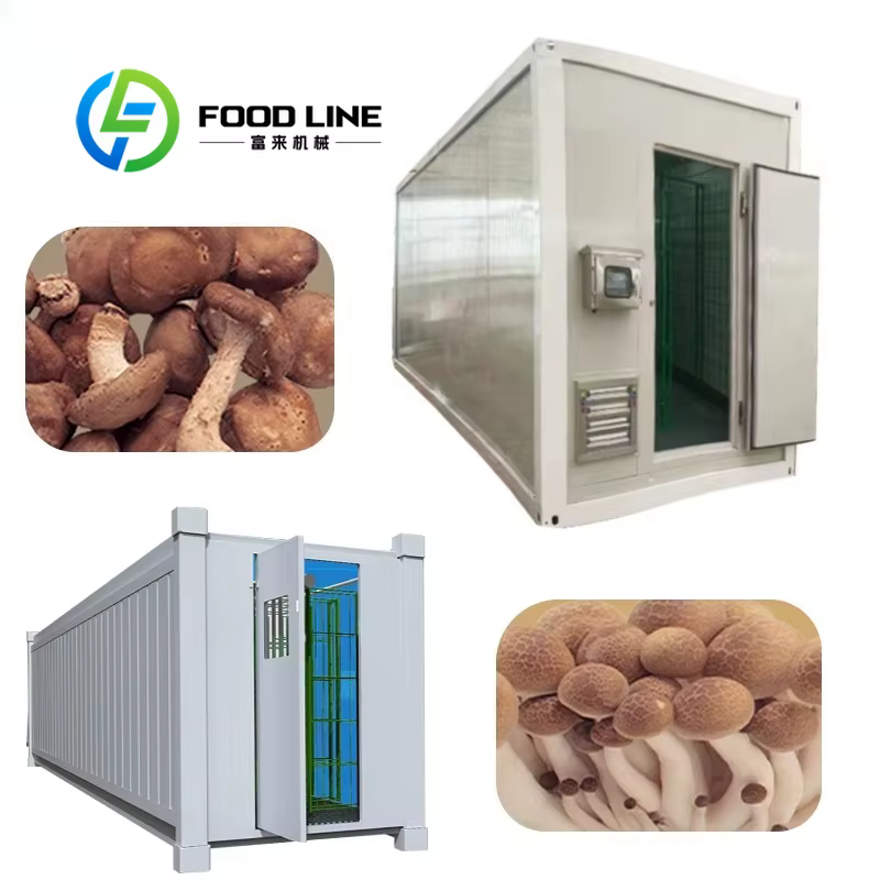 Conteneur d'expédition industriel moderne pour la culture de champignons, équipement de culture de champignons, salle intelligente et automatique pour la culture de champignons en conteneur
