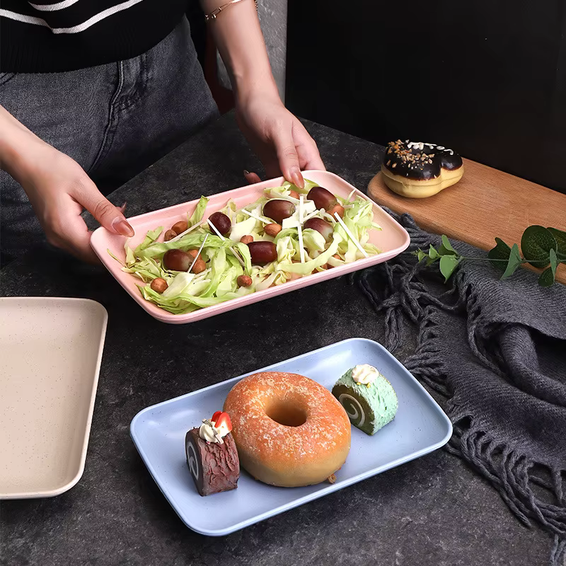 Ensemble d'assiettes réutilisables incassables