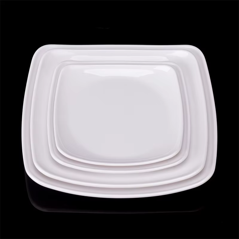 Plats carrés de restauration rapide