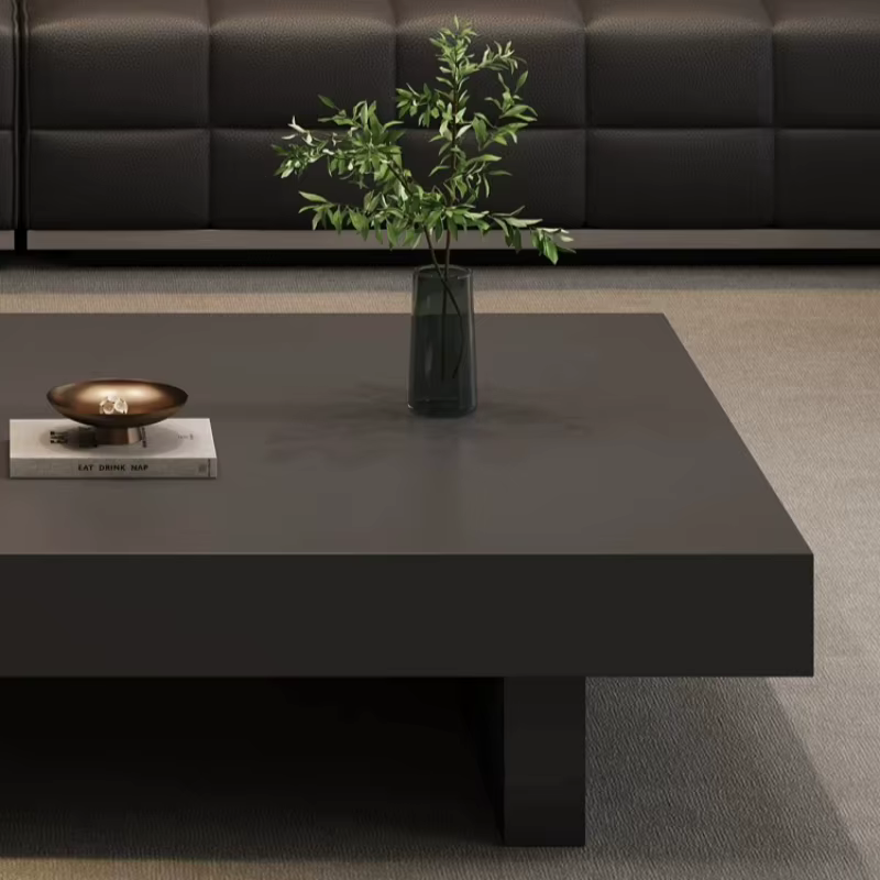 Table basse nordique moderne grande et noire avec rangement