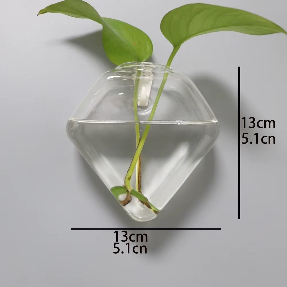 Vase hydroponique de forme irrégulière